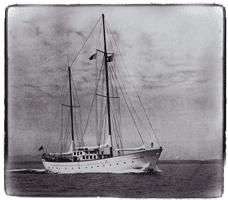 Southern Cross - Viejo